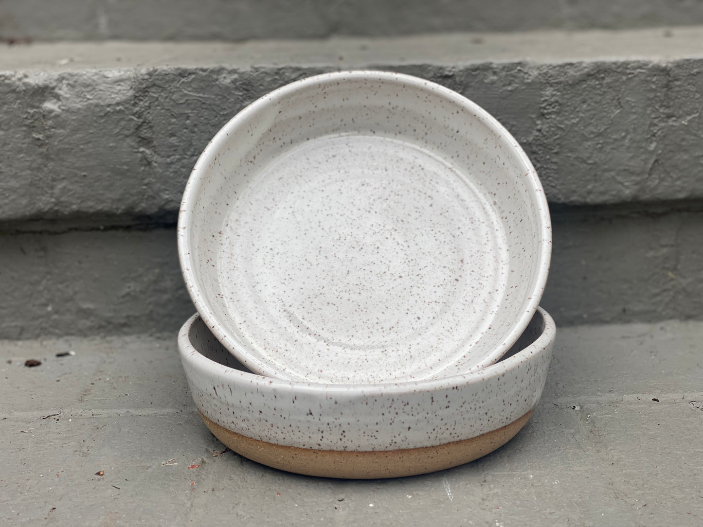 Everything Bowl