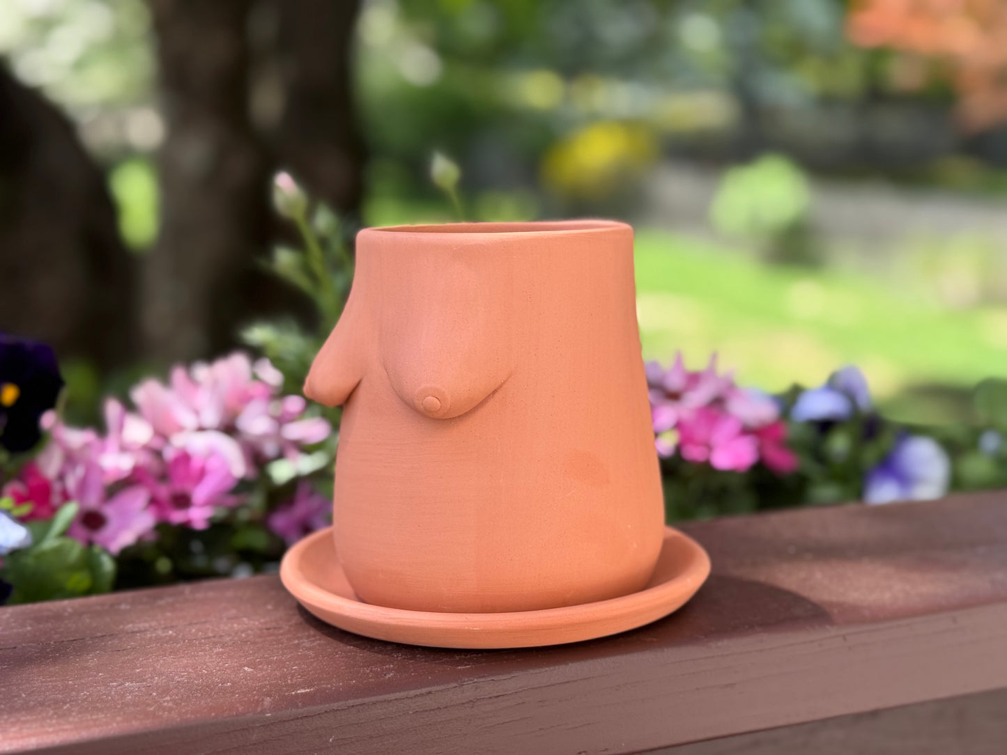 Terra Tits