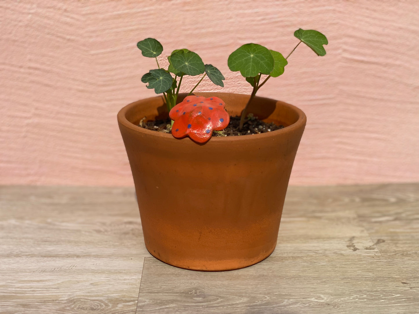 Ceramic Mushroom