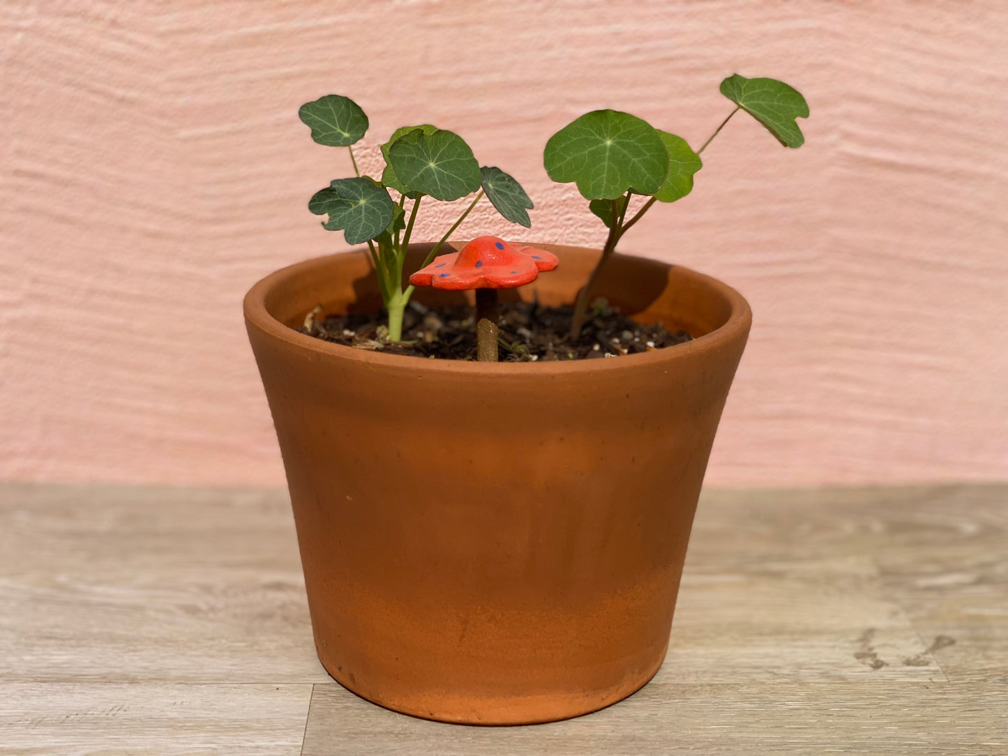 Ceramic Mushroom
