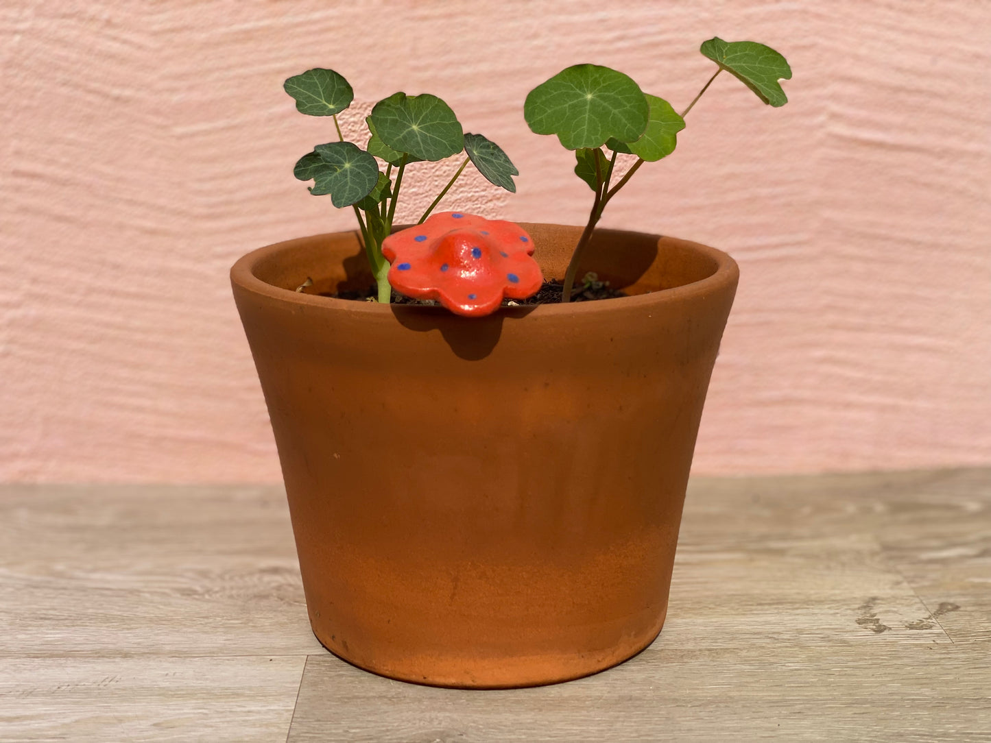 Ceramic Mushroom