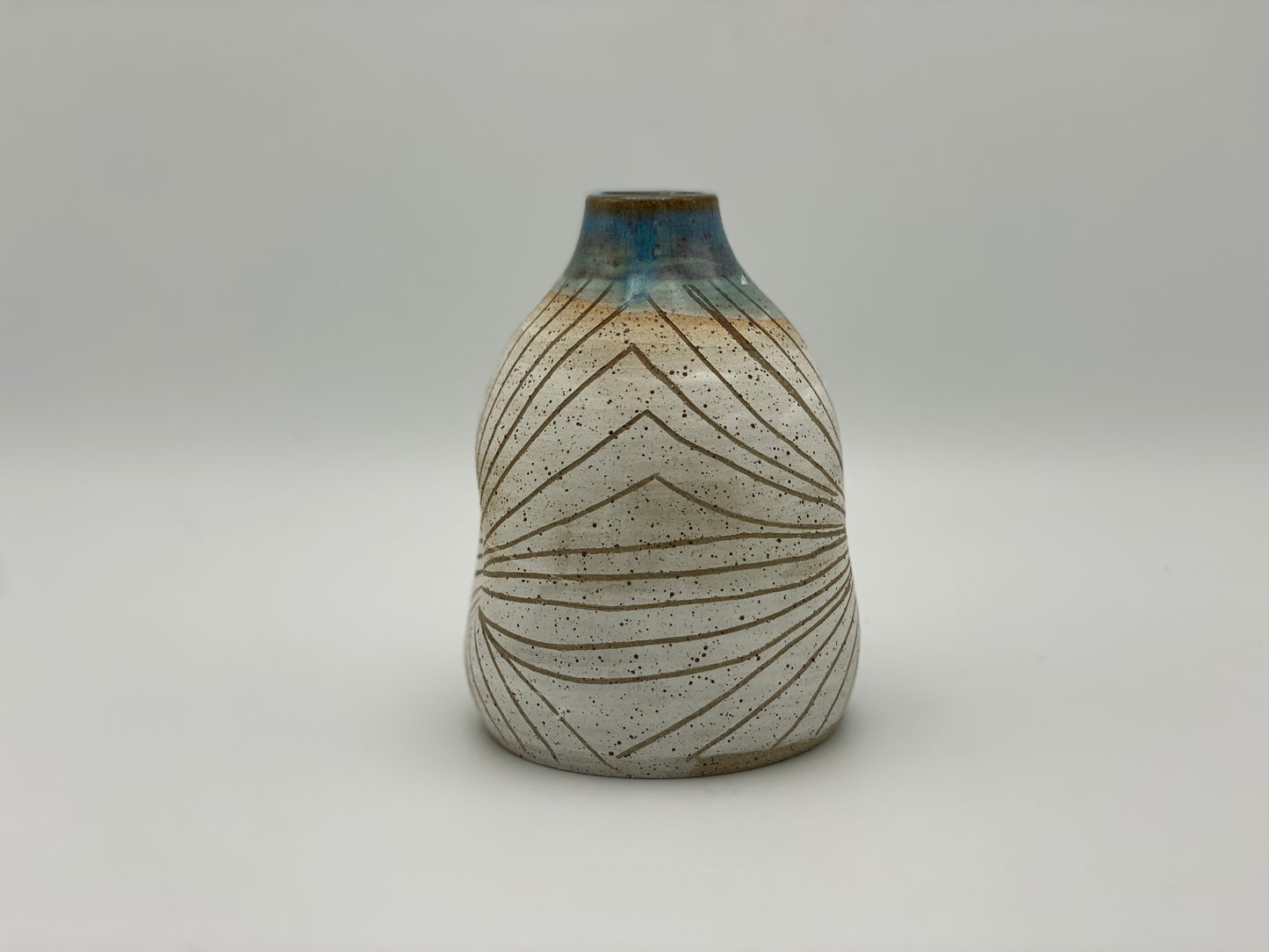 Seashell Bud Vase
